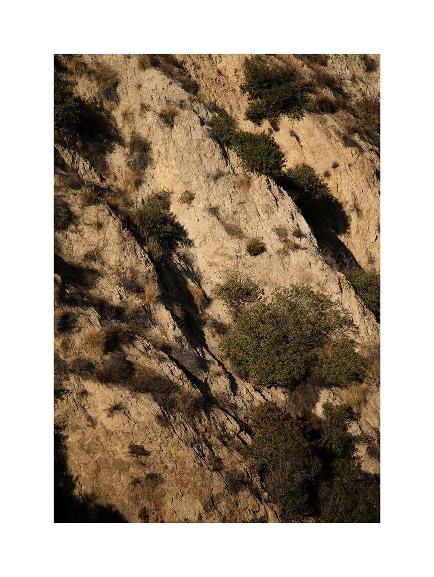 Minimalist fine art photograph of a sunlit Californian mountainside with warm textures, shadows, and natural vegetation