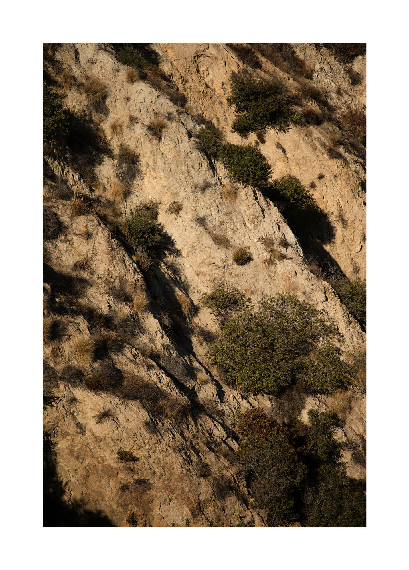 Minimalist fine art photograph of a sunlit Californian mountainside with warm textures, shadows, and natural vegetation