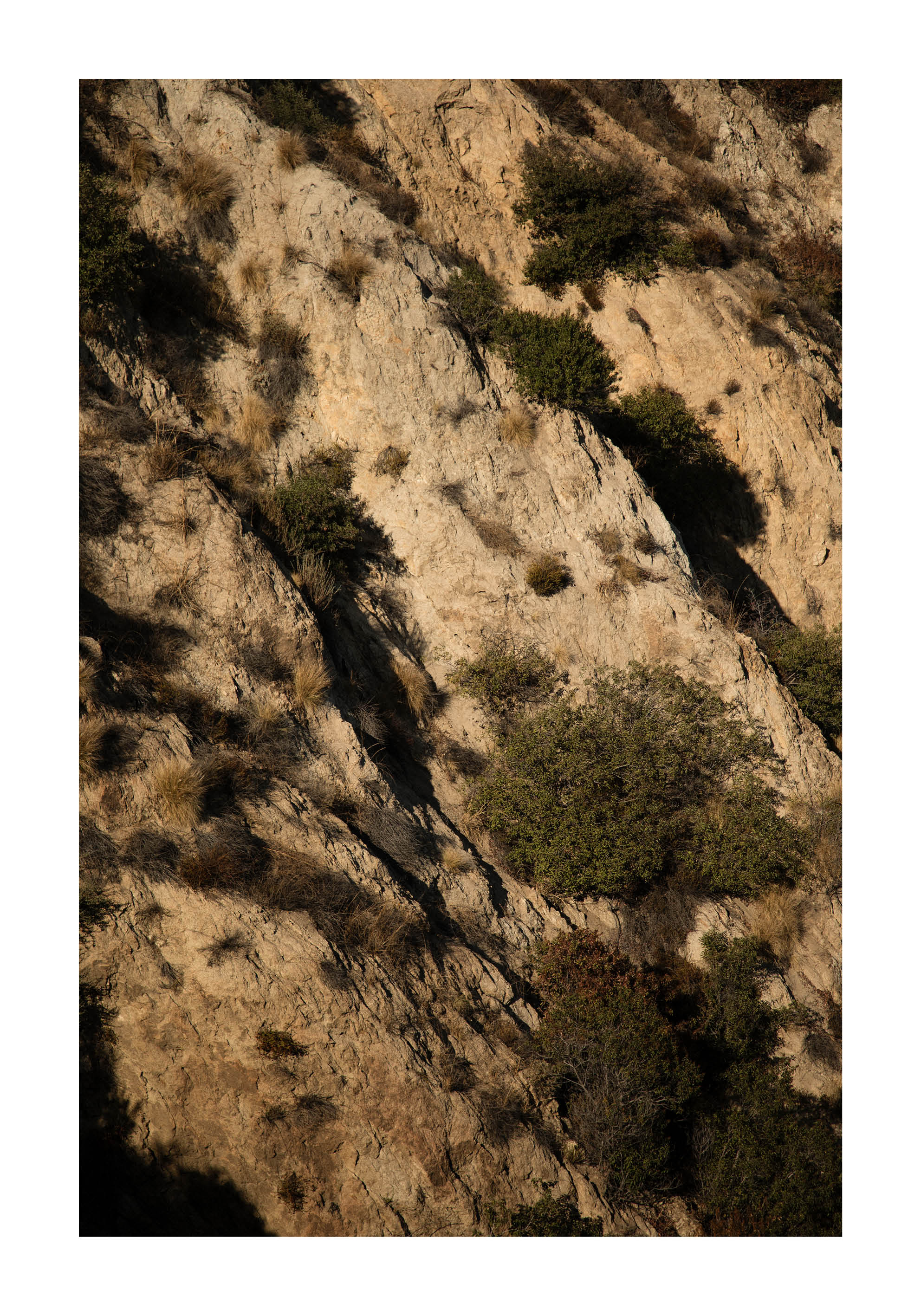 Minimalist fine art photograph of a sunlit Californian mountainside with warm textures, shadows, and natural vegetation