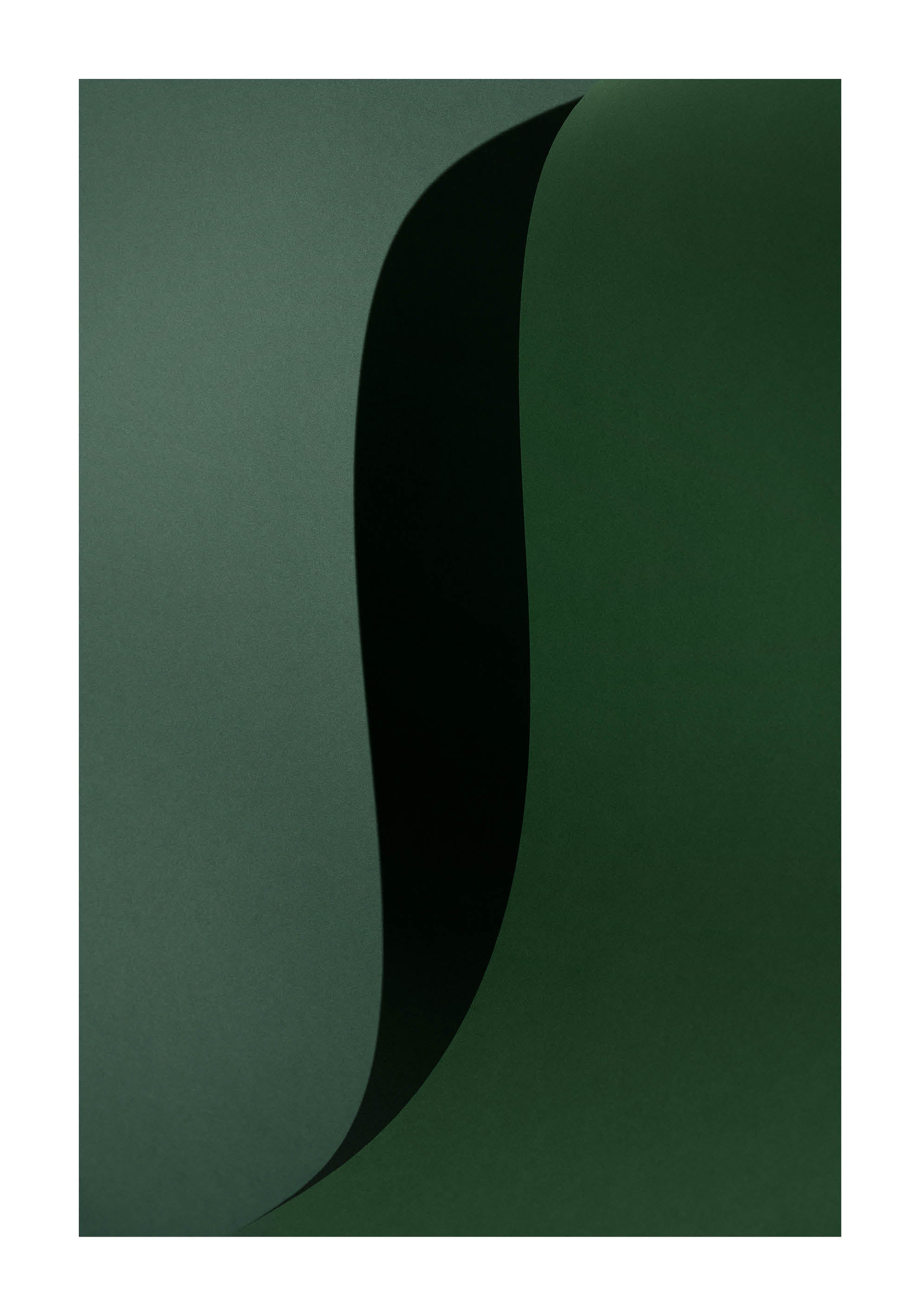 Abstrakt minimalistiskt fotografi i gröna toner med mjuka, flödande former och låg kontrast.