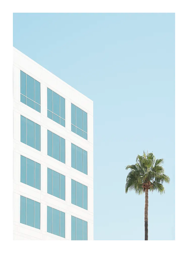 Minimalist fine art photograph featuring a white modern building and a single palm tree against a clear blue sky