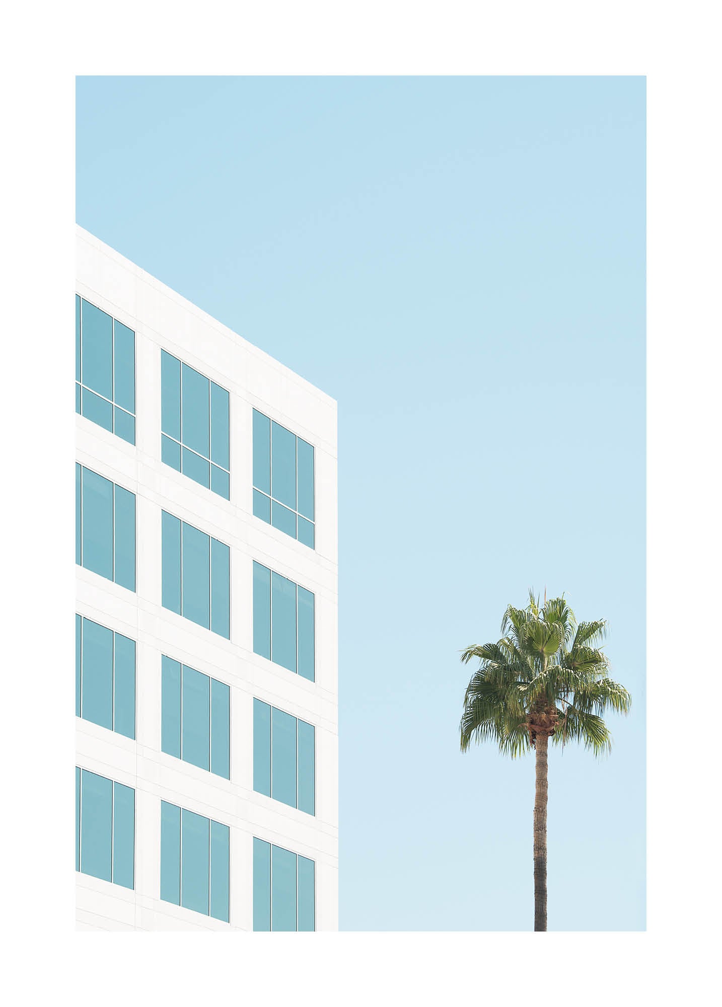 Minimalist fine art photograph featuring a white modern building and a single palm tree against a clear blue sky
