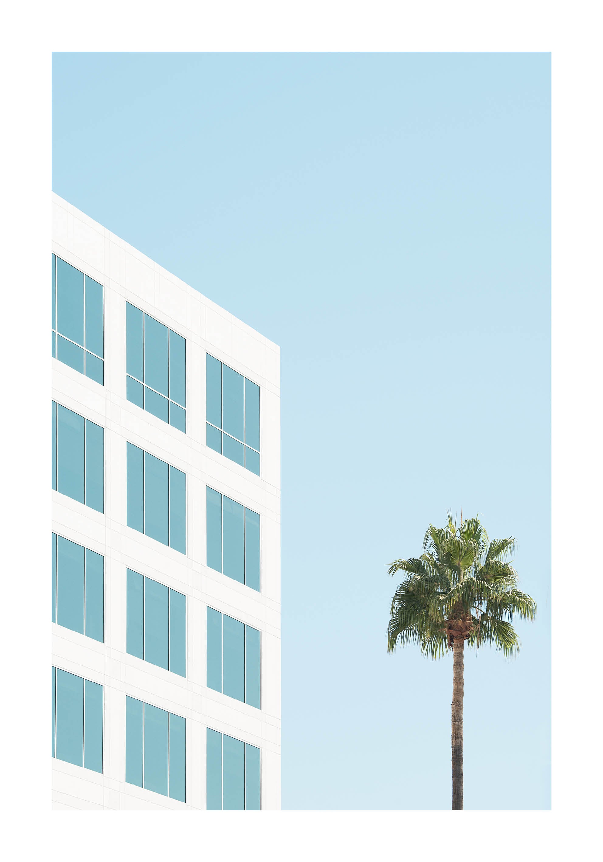 Minimalist fine art photograph featuring a white modern building and a single palm tree against a clear blue sky