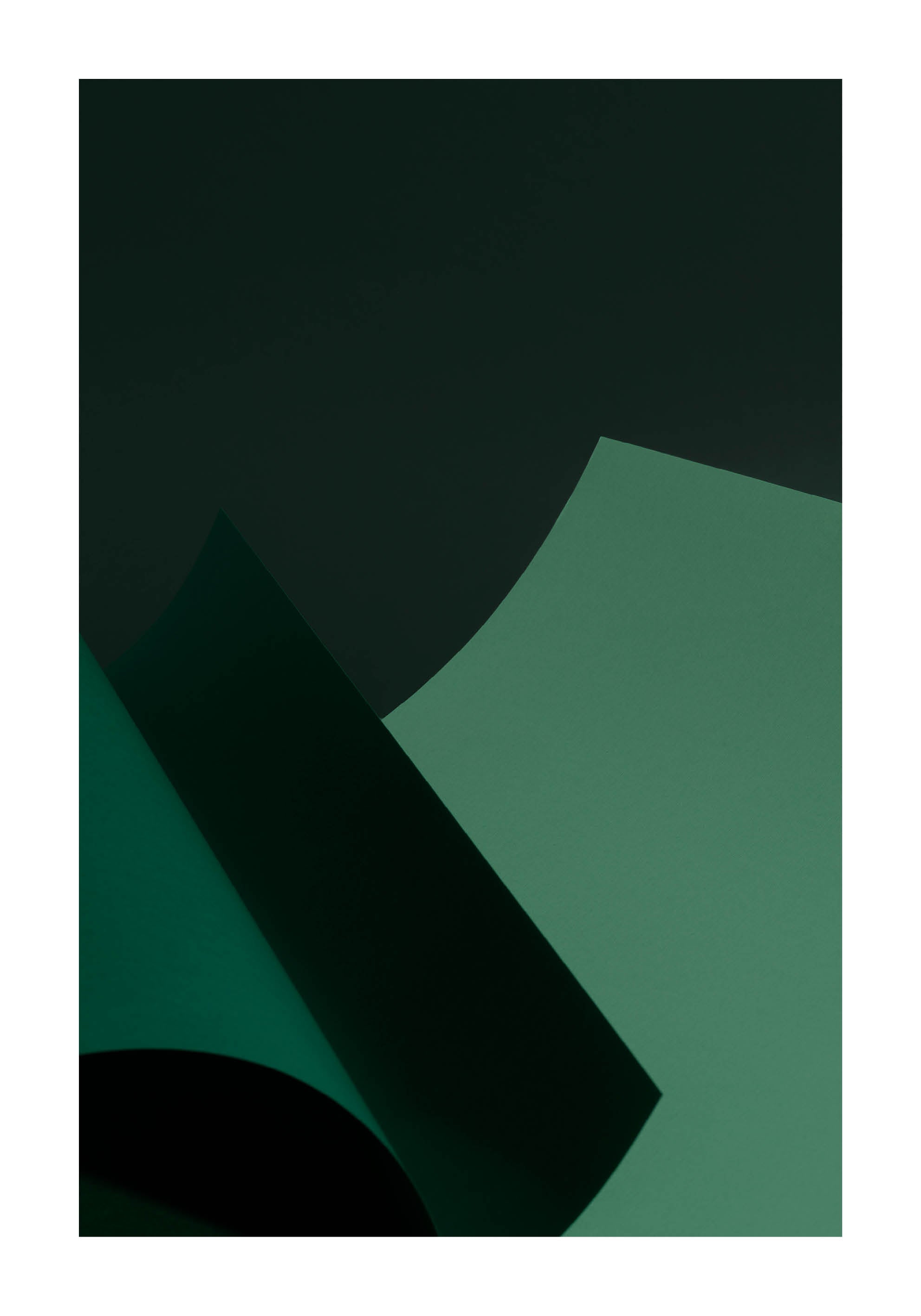 Abstrakt minimalistiskt fotografi med gröna former och mjuka linjer mot mörk bakgrund.