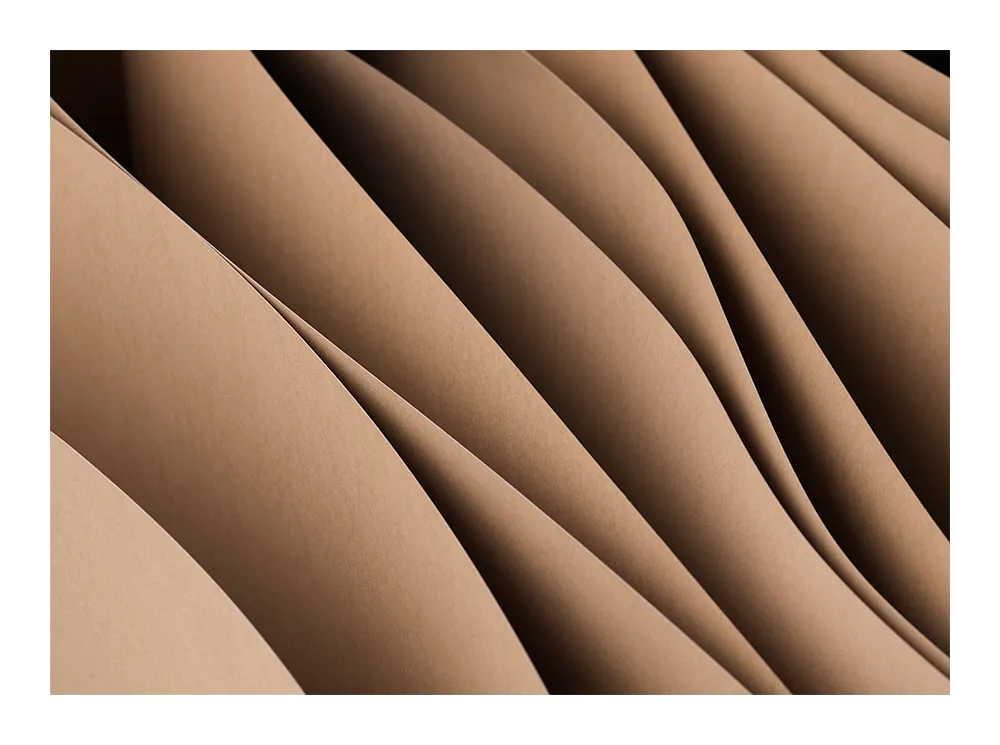 Beige Simplicity No.5