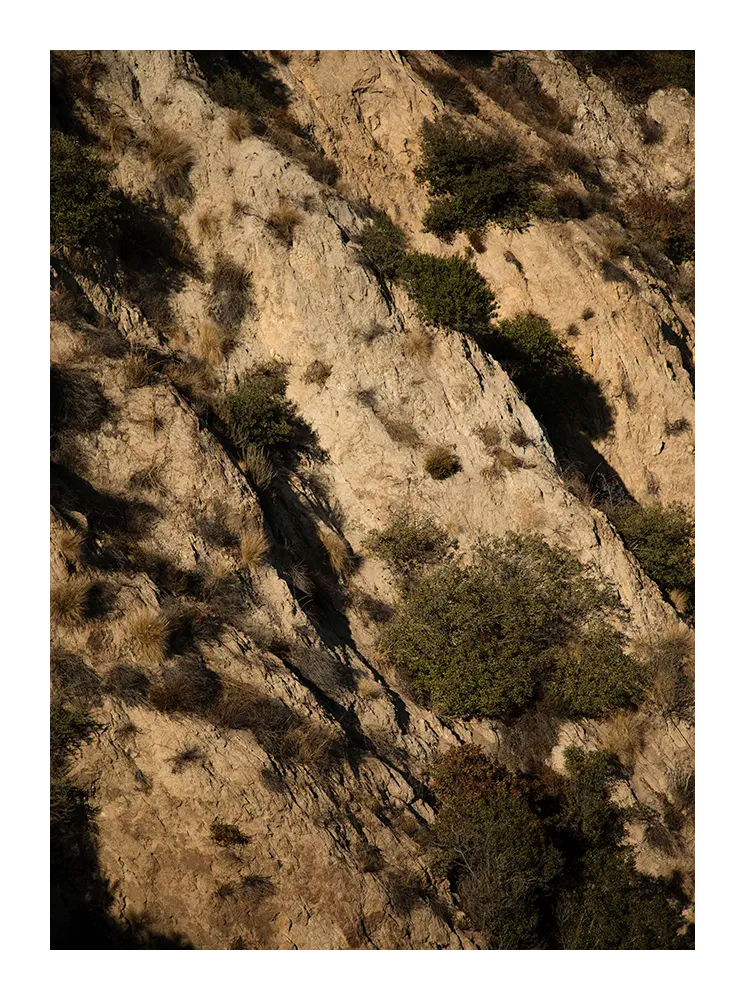 Minimalist fine art photograph of a sunlit Californian mountainside with warm textures, shadows, and natural vegetation