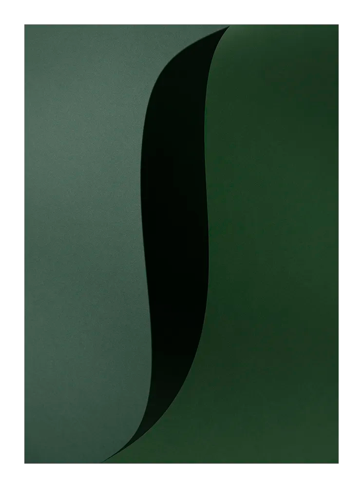 Abstrakt minimalistiskt fotografi i gröna toner med mjuka, flödande former och låg kontrast.