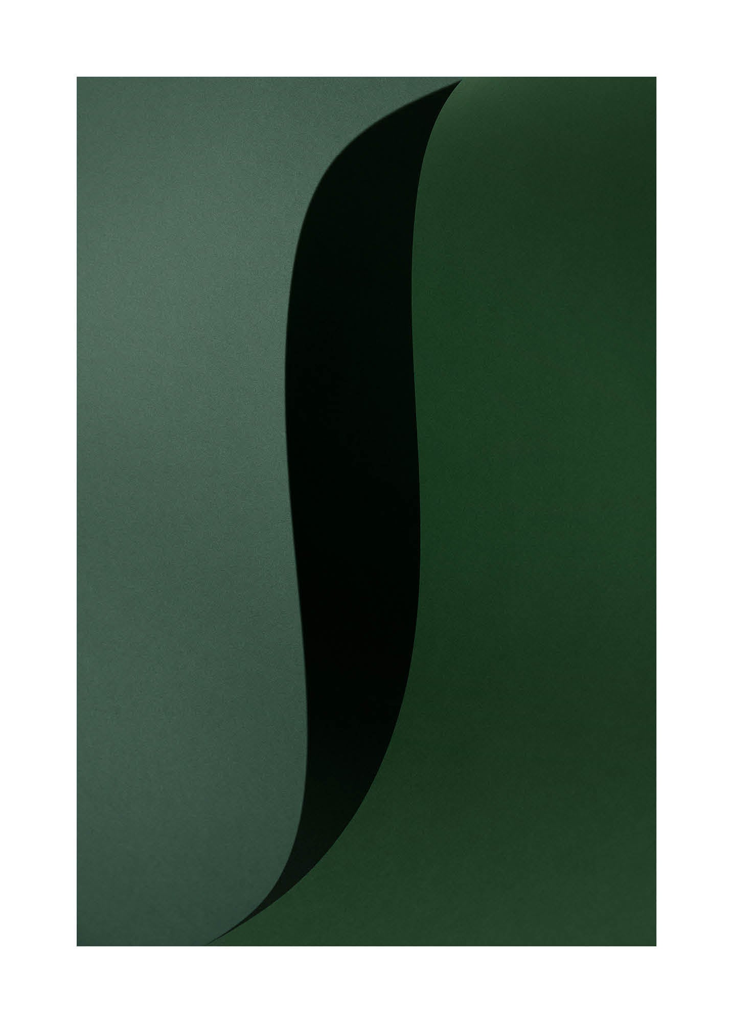 Abstrakt minimalistiskt fotografi i gröna toner med mjuka, flödande former och låg kontrast.