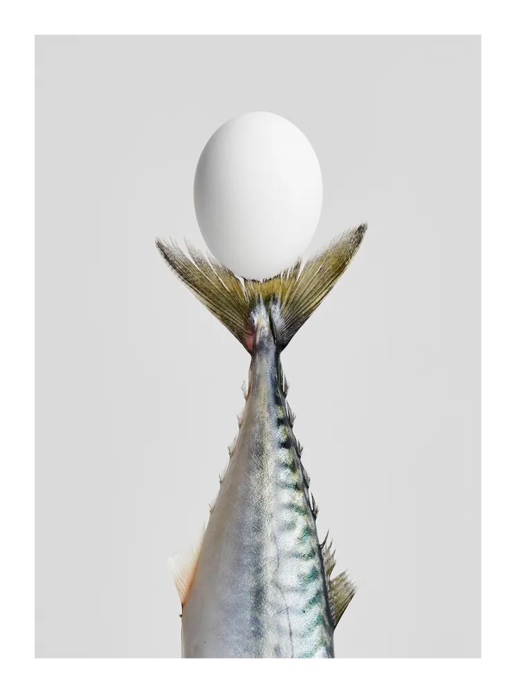 Conceptual fine art photograph of a fish tail balanced with an egg in minimalist composition. Printed in Sweden, exclusive at Monday Gallery.