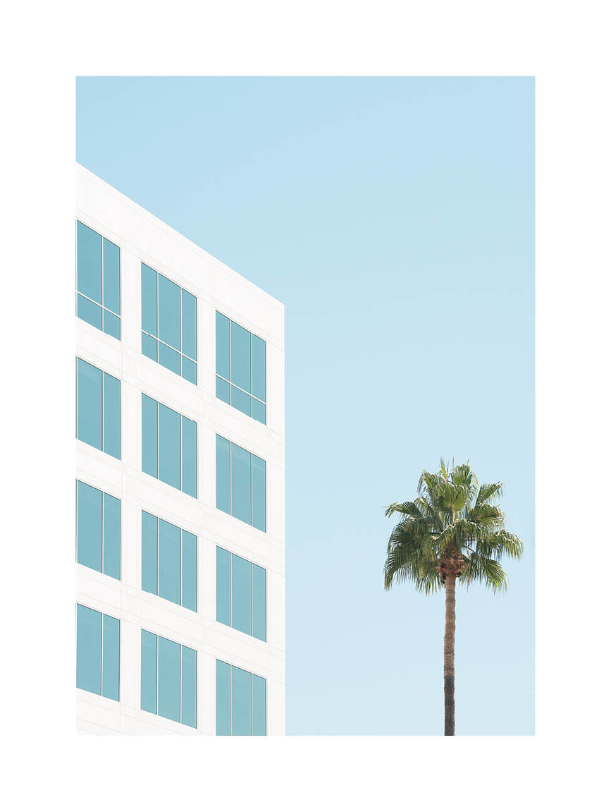 Minimalist fine art photograph featuring a white modern building and a single palm tree against a clear blue sky
