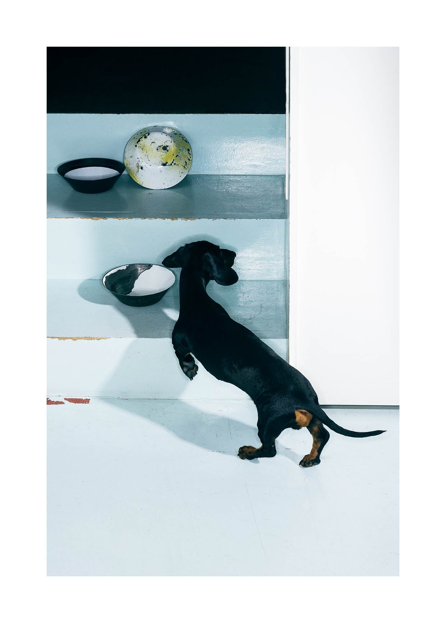Minimalist fine art print featuring a black dachshund in a modern Scandinavian interior with turquoise tones, photographed by Dana Ozollapa for Monday Gallery.