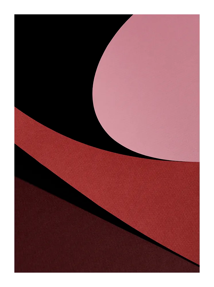 Modern Pink No.1 fine art print featuring abstract curved shapes in pink, burgundy, and black, representing minimalist Scandinavian design by Monday Gallery